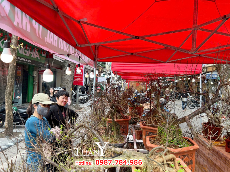 Khung thép mạ kẽm dày dặn tạo nên Nhà bạt 3mx3m MK3 rất chắc chắn